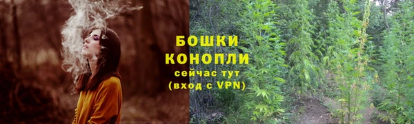 мдпв Пересвет