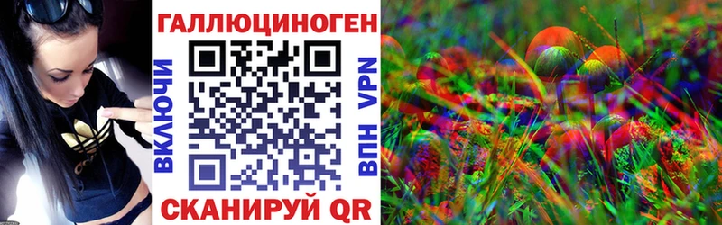 Псилоцибиновые грибы GOLDEN TEACHER  Александровск-Сахалинский 